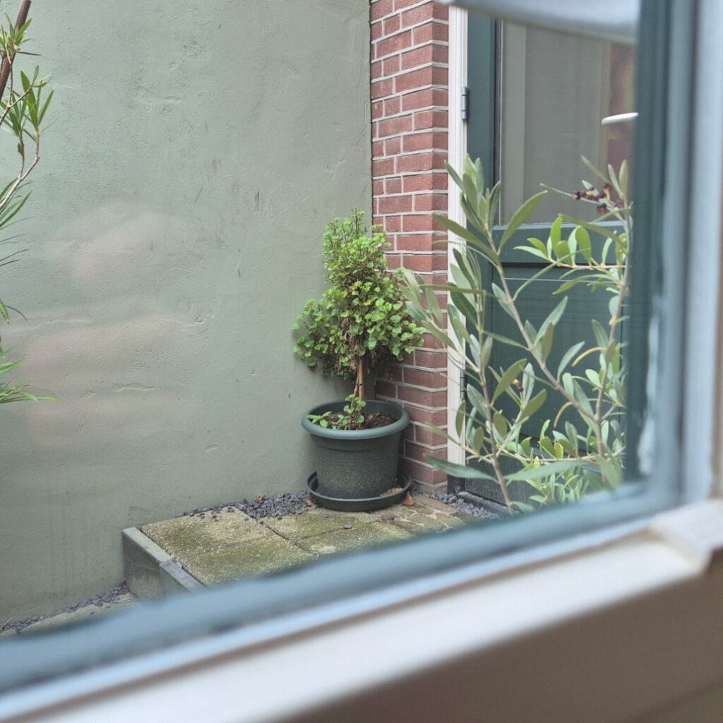 gezamenlijk_inkopen_glas