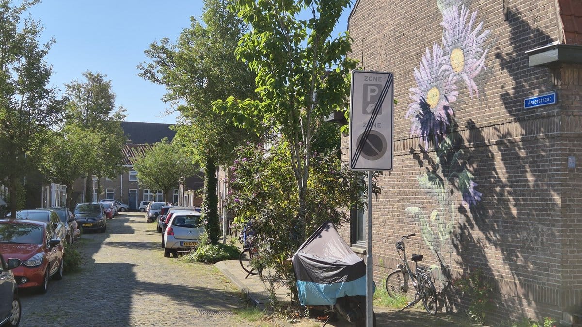 Asterstraat_2025_001